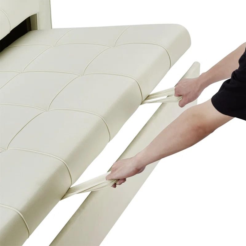 Eiram Foldora 2‑in‑1 Sofa Cum Bed Pull‑Out Sleeper Couch with Side Storage