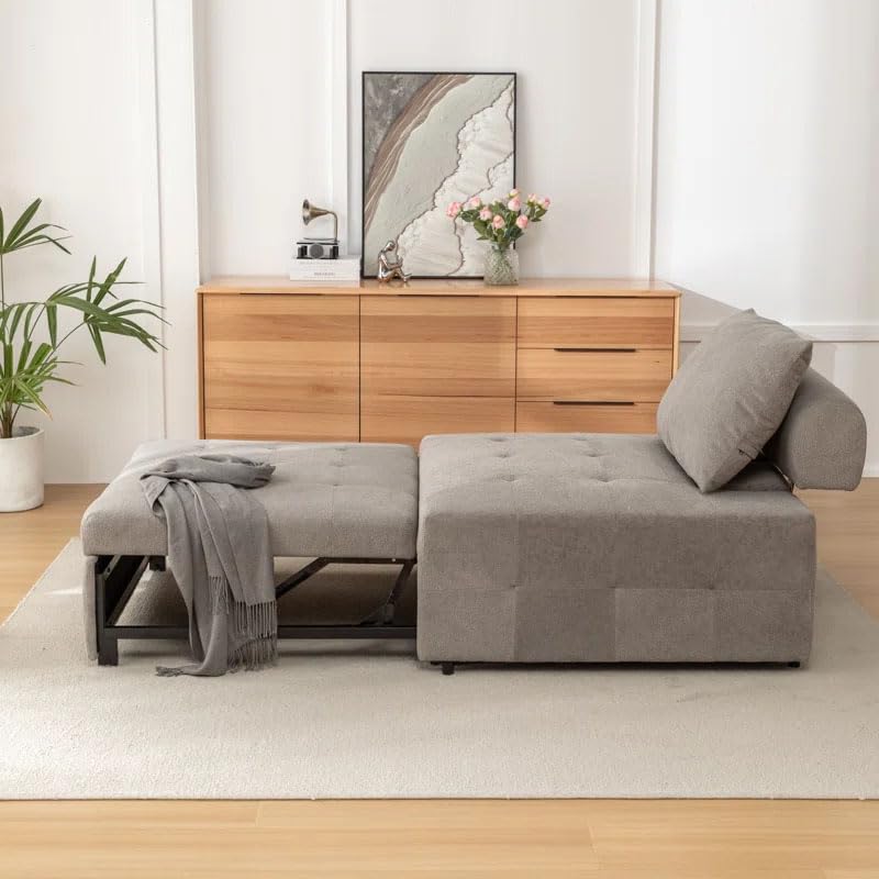 Eiram Calm Rest Adjustable Backrest Sofa Cum Bed