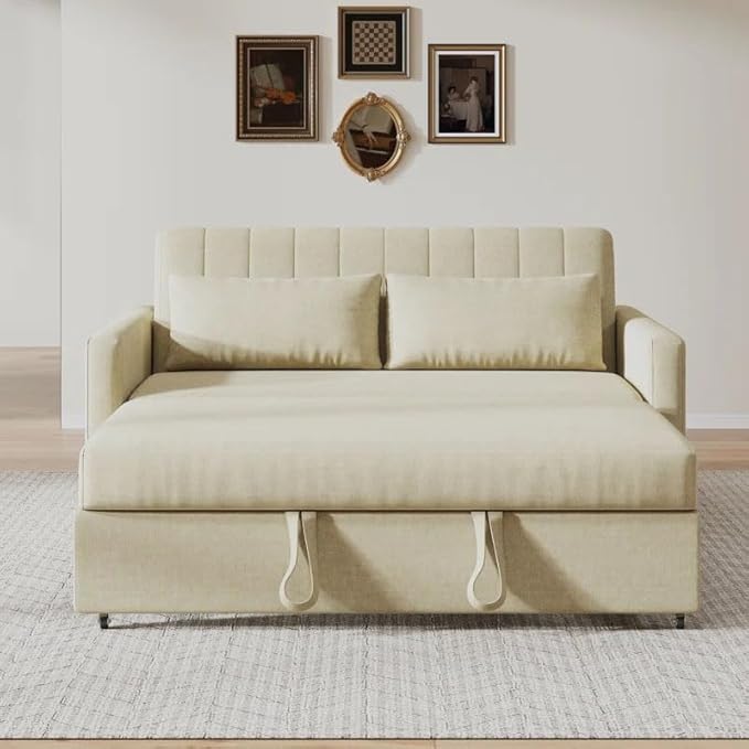 Eiram Yessa 2‑Seater Convertible Sofa Cum Bed with Adjustable Backrest & 2 Pillows