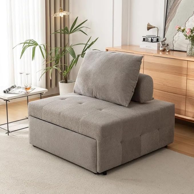 Eiram Calm Rest Adjustable Backrest Sofa Cum Bed