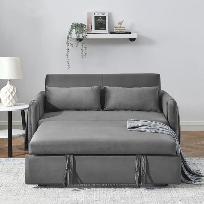 Eiram DuoNap 2‑Seater Sofa Cum Bed with Pull‑Out Bed