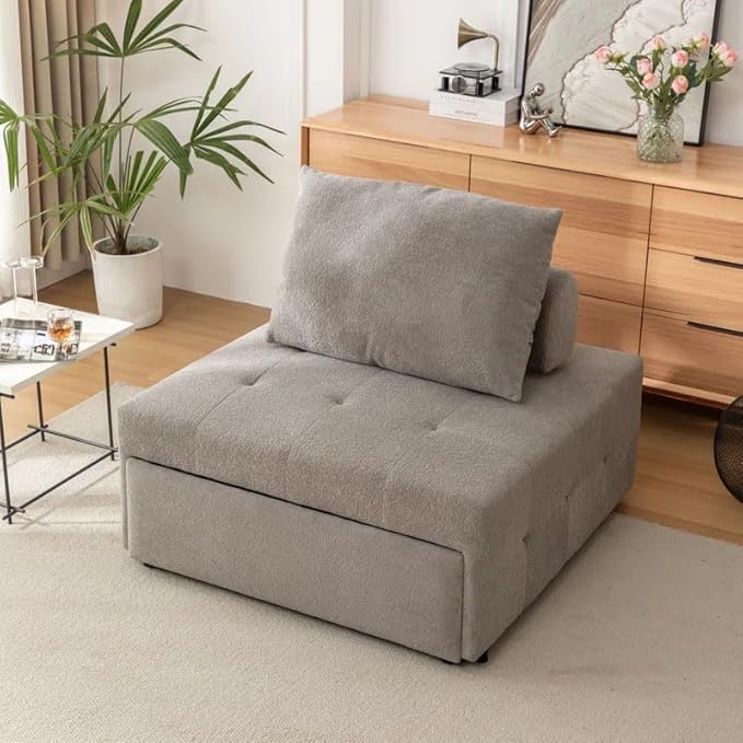 Eiram Calm Rest Adjustable Backrest Sofa Cum Bed