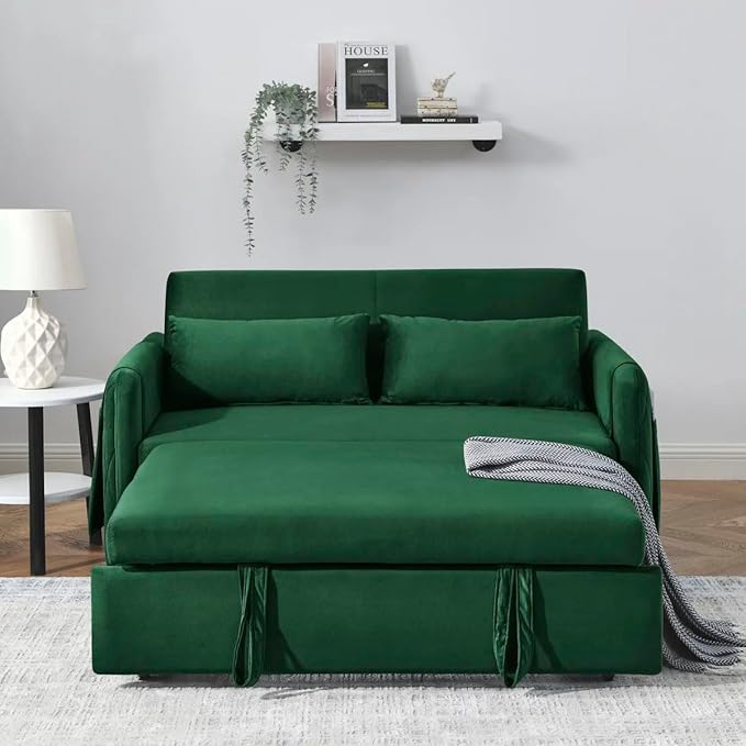 Eiram DuoNap 2‑Seater Sofa Cum Bed with Pull‑Out Bed