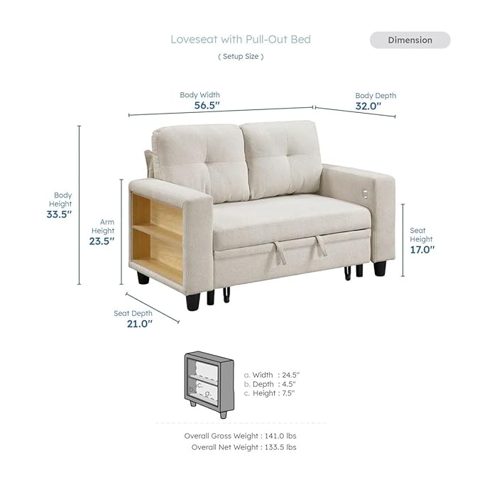 Eiram Damon 2‑Seater Sofa Cum Bed with Pull‑Out Bed & Side Shelf Storage
