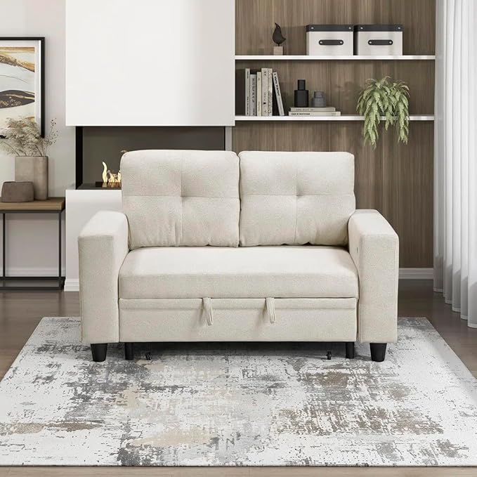 Eiram Damon 2‑Seater Sofa Cum Bed with Pull‑Out Bed & Side Shelf Storage