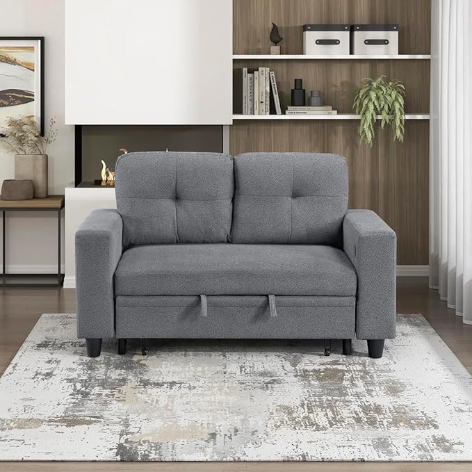 Eiram Damon 2‑Seater Sofa Cum Bed with Pull‑Out Bed & Side Shelf Storage